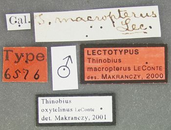 Media type: image;   Entomology 6576 Aspect: labels